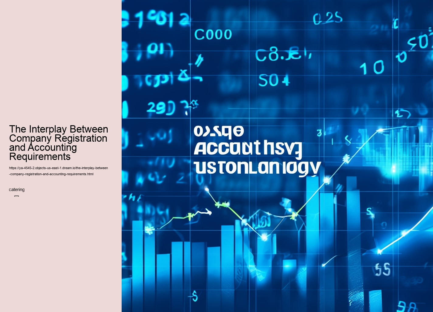 The Interplay Between Company Registration and Accounting Requirements